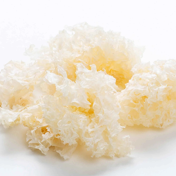 Organic Tremella Fuciformis Extract