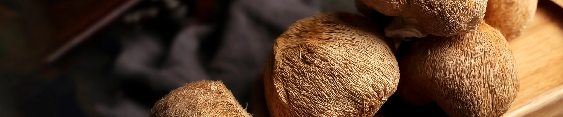 Organic Lion's Mane Mushroom Extract