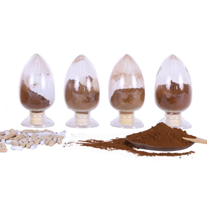 Functional Mushrooms and Organic Shiitake Extract in Cancer Care