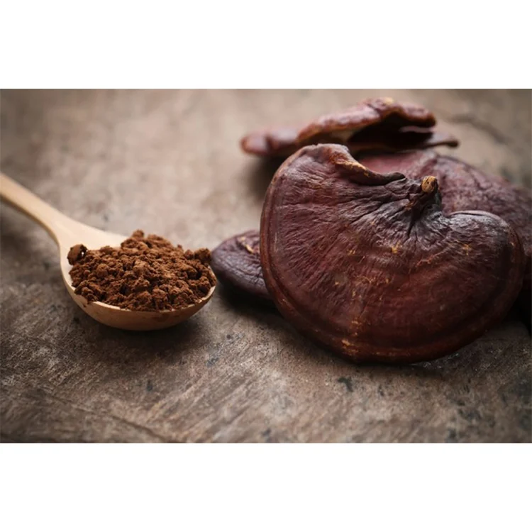 Mushroom raw material for Molai extracts