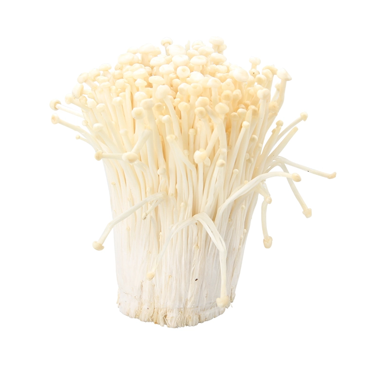 Enoki Powder