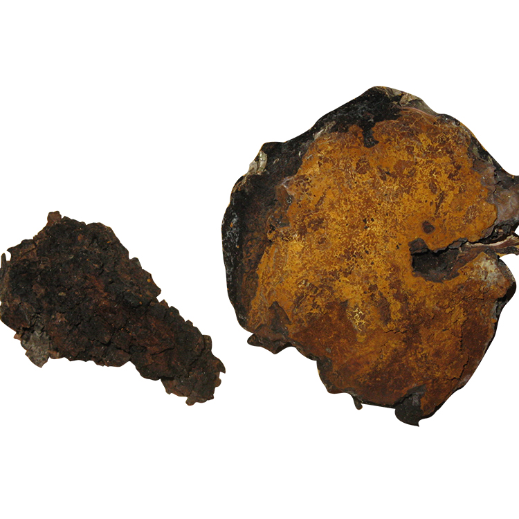 Chaga Mushroom Powder - Premium Birch Tree Chaga for Health & Immunity