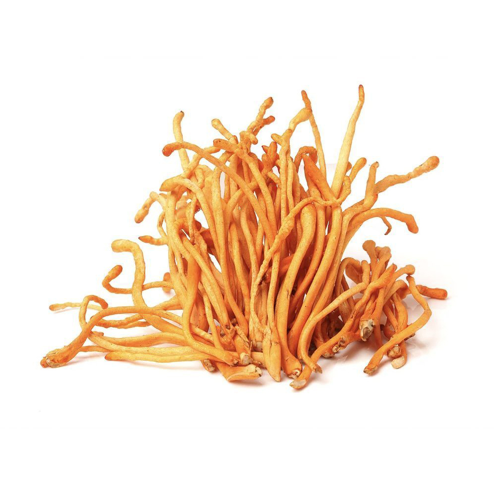 Organic Cordyceps Mushroom Extract: Premium Dietary Supplement